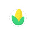 corn illustration on white background. Yellow corn clipart. corn flat icon Royalty Free Stock Photo