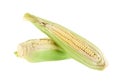 Corn isolated on white background Royalty Free Stock Photo