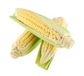 Corn isolated on white background Royalty Free Stock Photo