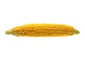 Corn isolated on white background Royalty Free Stock Photo