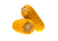 Corn isolated on white background Royalty Free Stock Photo