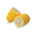 Corn isolated on white background. with clipping paths
