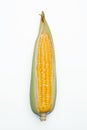 Corn isolated on white background, closeup top view. Royalty Free Stock Photo