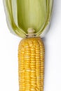 Corn isolated on white background, closeup top view. Royalty Free Stock Photo
