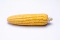 Corn isolated on white background, closeup top view. Royalty Free Stock Photo