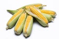 Corn isolated on white background, closeup top view. Royalty Free Stock Photo