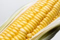 Corn isolated on white background, closeup top view. Royalty Free Stock Photo