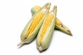 Corn isolated on white background, closeup top view. Royalty Free Stock Photo