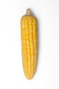 Corn isolated on white background, closeup top view. Royalty Free Stock Photo