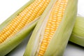 Corn isolated on white background Royalty Free Stock Photo