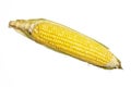 Corn isolated on a white background. Fresh corn cob isolated on white background. Royalty Free Stock Photo