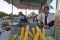 Corn, Istanbul, Turkey Royalty Free Stock Photo