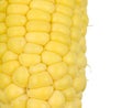 Corn Kernals Close up