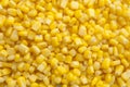 Corn Kernel Close Up