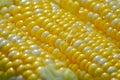 Corn Kernel Macro Royalty Free Stock Photo
