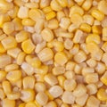 Corn kernels Royalty Free Stock Photo