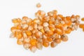 corn kernels : Close-up of organic yellow corn seed, Dried corn kernels on white background, top view Royalty Free Stock Photo