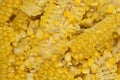 Corn Kernels Close-up Texture Royalty Free Stock Photo