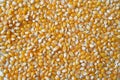 bulk corn kernels