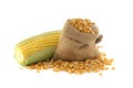 Corn kernels and fresh maize or corn on the cob