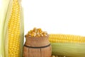 Corn kernels and fresh maize or corn on the cob Royalty Free Stock Photo