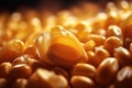 Corn kernels in macro. AI generated Royalty Free Stock Photo