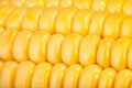 Corn kernels macro Royalty Free Stock Photo