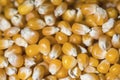 Corn kernels stack together on a counter, above shooted photography Royalty Free Stock Photo