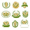 Corn label and element set. Collection icon corn. Vector