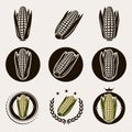 Corn label and icons set. Vector