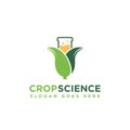 Corn and laboratory beaker logo icon vector illustration