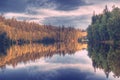 Corn of lake with reflection of trees Royalty Free Stock Photo