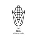 Corn line icon. Ear of corn vector symbol. Editable stroke