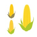 Corn. Logo