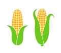 Corn logo. Isolated corn on white background