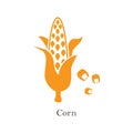 Corn logo. Isolated corn on white background Royalty Free Stock Photo