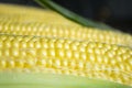 Corn macro photography. Corn with droplets of water after washing. Beautiful drops of water on corn kernels after Royalty Free Stock Photo