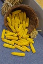Corn Maize Basket Spill Royalty Free Stock Photo