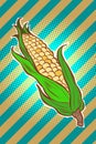 Corn maize cob. appetizing vegetarian product