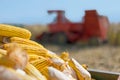 Corn maize cobs and combine harvester Royalty Free Stock Photo