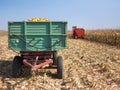 Corn maize cobs loaded into a trailer Royalty Free Stock Photo