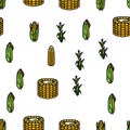 corn maize green, cob sweet vector seamless pattern Royalty Free Stock Photo