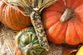 Corn Maize Pumpkin Harvest Green Grocer Stall