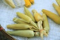 Corn or Maize sale in asian fresh food local market