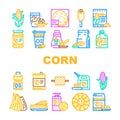 corn maize sweet plant cob icons set vector Royalty Free Stock Photo