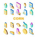 corn maize sweet plant cob icons set vector Royalty Free Stock Photo