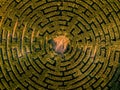 Corn maze above in Poland Royalty Free Stock Photo