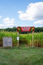 Corn maze entrance Royalty Free Stock Photo