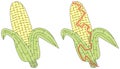 Corn maze Royalty Free Stock Photo