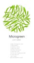 corn microgreen salad